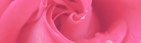 Vulvodynia and Pelvic Therapy